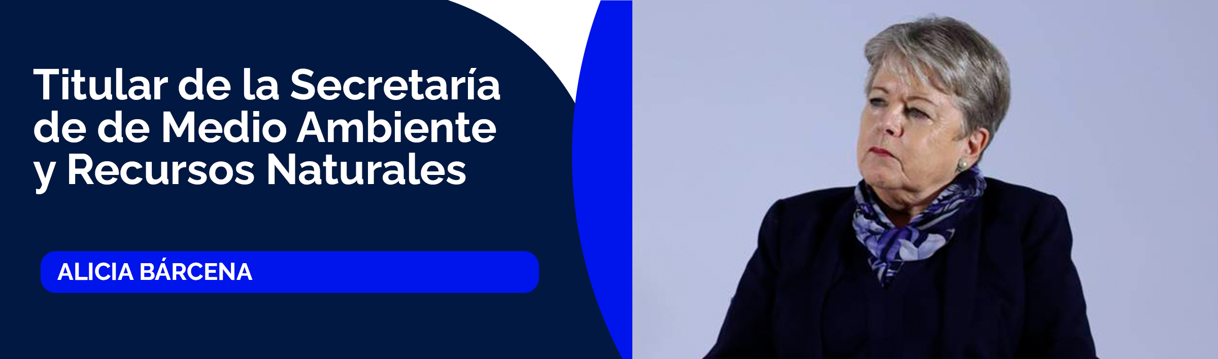 Alicia Bárcena Ibarra, secretaria de Medio Ambiente y Recursos Naturales (SEMARNAT)